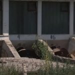Liqeni i Ohrit ka nevojë për sistem kolektor tërësisht të ri