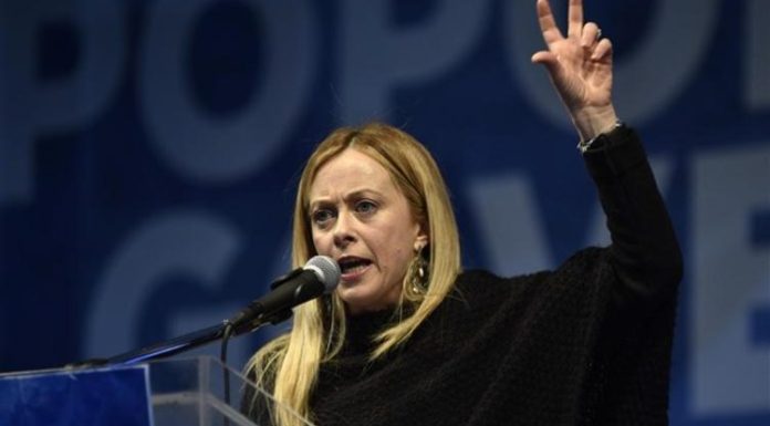 meloni-B564-45BA-A1D6-3FEB596FFD30-750x430