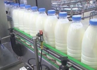 Nesër “ngrin” çmimi i pastave dhe qumështit