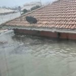 Uragani shkatërrues godet Floridan, uji mbulon shtëpitë