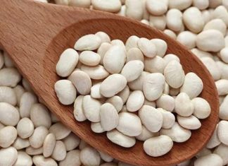 Grosha e Pollogut, luks për qytetarët