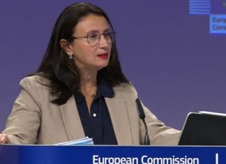 Mbështetja e BE: Kosova ka të drejtë për targat, por zgjidhja duhet të jetë përmes një procesi gjithëpërfshirës