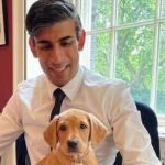 Rishi Sunak: Kush është kryeministri i parë indian i Britanisë