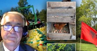 Info Shqip: Emigranti shqiptar hap fermë në Kanada: Djemtë e mi me universitet kujdesen për frutat dhe perimet