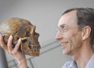 Shkencëtari Svante Paabo merr çmimin Nobel për Mjekësi, çka zbuloi?
