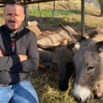 “Nuk u pendova që lashë Tiranën”, rrëfehet gazetari që u bë fermer gomaricash