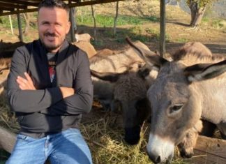 “Nuk u pendova që lashë Tiranën”, rrëfehet gazetari që u bë fermer gomaricash