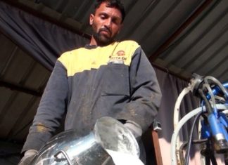 Ka punësuar pakistanezë për tek lopët, flet fermeri nga Kruja: Punojnë më shumë se shqiptarët