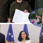 Matoshi: Krerët e shtetit kopjuan Zelenskyn kur aplikuan në BE