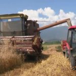 Maqedonia e Veriut e varur nga importi i ushqimeve