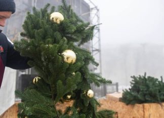 Putin nuk “vjedh” dot Krishtlindjet e Ukrainës, në qendër të Kievit ngrihet pema pa drita