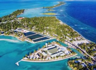 Cili është vendi i parë ku hyn 2023-shi (VIDEO)