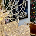 Kryeministri Rama shijon fundjavën me Zahon, poston foton në slitën festive (FOTO)