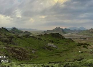 Gjelbërohet toka arabe? Ç’farë ka paralajmëruar Profeti Muhamed