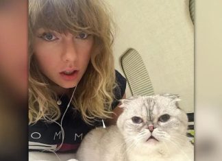 Nuk do ta besoni, macja e këngëtares së njohur ka një pasuri gati 100 mln dollarësh