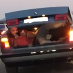 Nga Amerika pas 22 vjetësh kthehet shqiptari, momenti kur takon vëllezerit që i la të vegjël