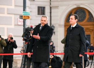 Albin Kurti publikon fotografitë nga pritja madhështore që iu bë në Austri