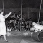Ndahet nga jeta Sanie Baçova, gruaja e parë dhe e vetme që zbuste kafshët në Cirkun Shqipëtar
