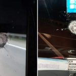Autobusi me emigrantë nga Kosova sulmohet në Serbi (FOTO)