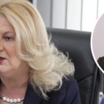 Tahiri: Deklarata proruse e Millanoviqit nuk e cenon partneritetin strategjik Kosovë-Kroaci