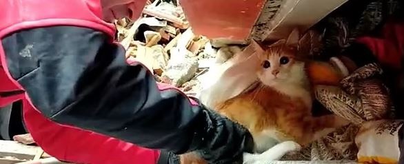 328204408_731704744978411_328290016067372448_n