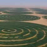 Arabia Saudite habit botën, mbjell grurë në shkretëtirë