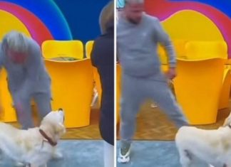 “Vëllai i Madh” fut brenda shtëpisë qenin e Oltës, banorët ikin me vrap të ‘tmerruar’, i sulet Luizit (VIDEO)