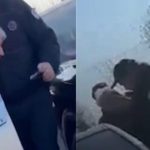 Reagon profesori shqiptar që u rrah nga policia malazeze