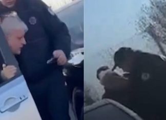 Reagon profesori shqiptar që u rrah nga policia malazeze