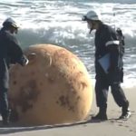 Merr fund misteri, ja çfarë ishte sfera që habiti japonezët