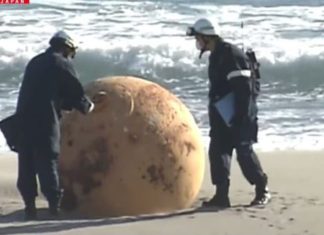 Merr fund misteri, ja çfarë ishte sfera që habiti japonezët