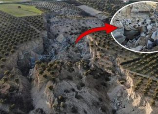 Tërmeti ndan në dysh fushën me ullinj, formon në mes një gropë 30 metra të thellë (VIDEO)