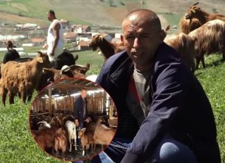 “Nuk mund të jetoj pa dhi”, rrëfimi i ish-ushtarit të UÇK-së që la Italinë për Kosovë (VIDEO)