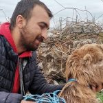 Çfarë mrekullie: Dhia mbijetoi, edhe pse qëndroi për 47 ditë nën rrënoja, pas tërmetit shkatërrues në Turqi