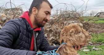 Info Shqip: Çfarë mrekullie: Dhia mbijetoi, edhe pse qëndroi për 47 ditë nën rrënoja, pas tërmetit shkatërrues në Turqi