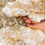 Info Shqip: Një australian gjen gurin prej ari 4.6 kg me vlerë marramendëse