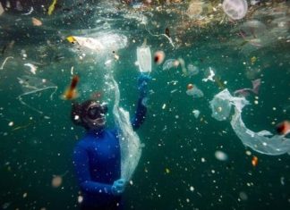 Shkencëtarët: Në oqeane ka mbi 171 trilionë mbetje plastike