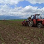 RMV, çmimi te produktet shtazore është rritur më shumë sesa te produktet bimore
