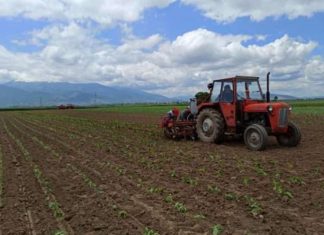 RMV, çmimi te produktet shtazore është rritur më shumë sesa te produktet bimore