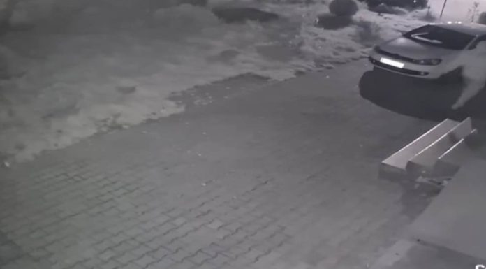 340650708_774877760629027_6448799402865780925_n