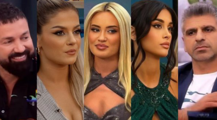 qetsor visi dea jori nita