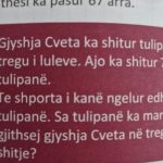 Libri shqip e emrat maqedonas, qytetari kjo është fyese