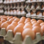 Çmimi i karburanteve është ulur, ashtu edhe i vajit ushqimor dhe disa produkteve tjera, por i vezëve jo se jo, mos ndoshta duhet të marrim mësim nga argjentinasët apo kemi halle tjera?!