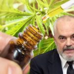 Projektligji, cilat janë kushtet për të mbjellë kanabis me leje në Shqipëri