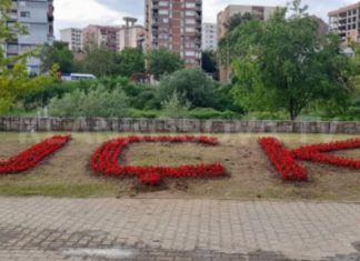 ”UÇK” lulëzon në parkun pranë Ibrit në Mitrovicë (FOTO)