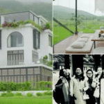 Shtatë beqareshat që vendosën të plaken bashkë