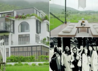 Shtatë beqareshat që vendosën të plaken bashkë