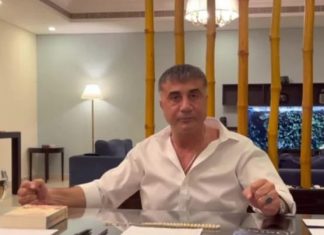 Marrëveshjet 50 miliardë të Erdoganit me Emiratet: Po mafiozi Peker?