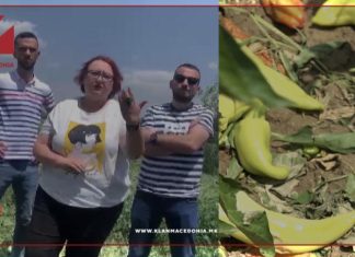 Zv/Ministrja e bujqësisë takon bujqit e dëmtuar në Studeniçan