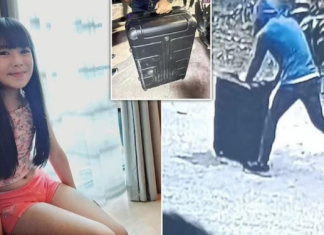 Kishte rrëmbyer 8-vjeçaren dhe po e transportonte me një valixhe, arrestohet rrëmbyesi